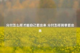 分付怎么样才能自己套出来 分付简单套出来