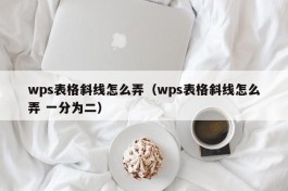 wps表格斜线怎么弄（wps表格斜线怎么弄 一分为二）