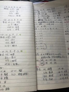 自学韩语的方法(韩语免费自学app)