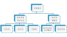 赛事组织机构设置及职能(赛事组织机构设置及职能有哪些)