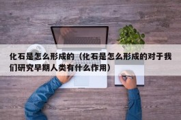 化石是怎么形成的（化石是怎么形成的对于我们研究早期人类有什么作用）