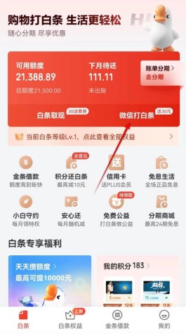 京东白条逾期了怎么申请二次分期(京东白条二次延期)