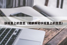 扶摇直上的意思（鲲鹏展翅扶摇直上的意思）