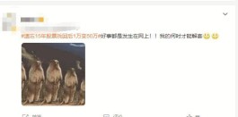 1万变50万，遗忘才是炒股的“正确姿势”？这种“时间的力量”可以复制吗