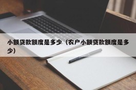 小额贷款额度是多少（农户小额贷款额度是多少）