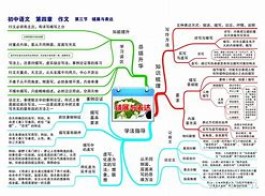 学习语文的方法(怎样才能学好语文方法)