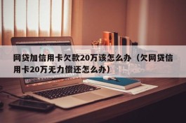 网贷加信用卡欠款20万该怎么办（欠网贷信用卡20万无力偿还怎么办）