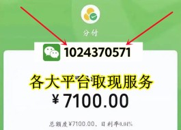 微信分付是什么意思(微信分付是什么意思怎么使用)