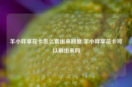 羊小咩享花卡怎么套出来额度 羊小咩享花卡可以刷出来吗