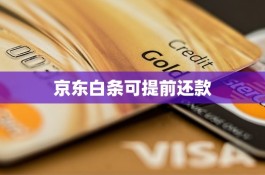 京东白条怎么用微信支付宝还款(京东白条怎么用微信或者支付宝还款)