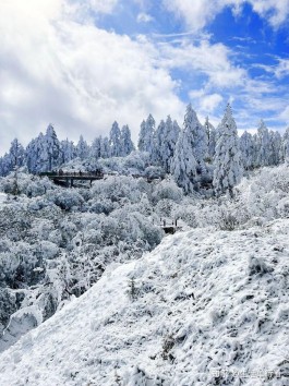 四川冬季旅游景点推荐(冬季四川旅游必去景点)