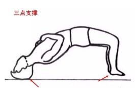 腰背肌锻炼方法(腰背肌锻炼方法图解)