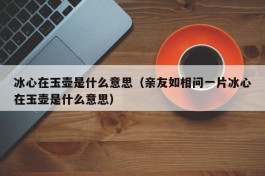 冰心在玉壶是什么意思（亲友如相问一片冰心在玉壶是什么意思）