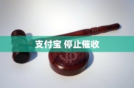 支付宝逾期新规定2024(2021年支付宝逾期新政策)