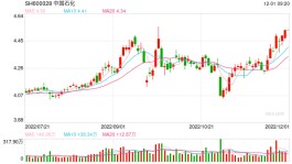 中国石化斥资18.88亿元完成A股股份回购  专家：估值中枢有望提升