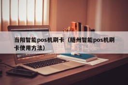 当阳智能pos机刷卡（随州智能pos机刷卡使用方法）