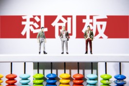 新股申购技巧(北交所新股申购技巧)
