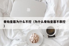 秦始皇墓为什么不挖（为什么秦始皇墓不敢挖）