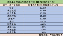罕见！王国斌专户投资细节首度曝光，强调“从缓建仓”，最关心电子食品和农牧