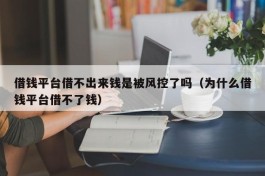 借钱平台借不出来钱是被风控了吗（为什么借钱平台借不了钱）