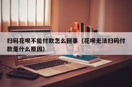 扫码花呗不能付款怎么回事（花呗无法扫码付款是什么原因）