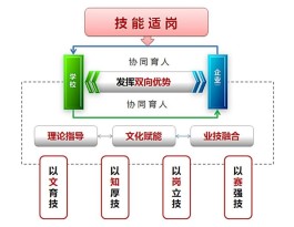 车间技能人才培养方案(车间技能人才培养方案怎么写)