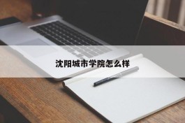 沈阳城市学院怎么样