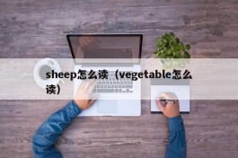 sheep怎么读（vegetable怎么读）