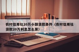 农村信用社20万小额贷款条件（农村信用社贷款20万利息怎么算）