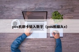 pos机刷卡输入数字（pos机输入x）