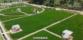 咖啡赛道增长迅猛 国内咖啡市场快速崛起