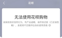 花呗上征信吗合法吗(花呗上征信吗,征信显示的是什么)