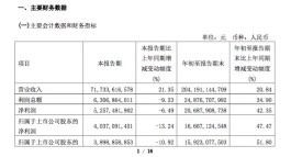 紫金矿业前三季度净利润增长47.47% 还计划募资100亿，并购亚洲最大钼矿
