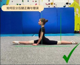 压腿的正确方法图解(拉伸压腿的正确方法图解)