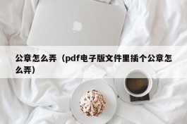 公章怎么弄（pdf电子版文件里插个公章怎么弄）