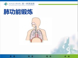 功能锻炼的方法(骨折1~2周内功能锻炼的方法)