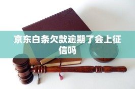 京东白条商家能看见吗(用京东白条付款卖家能看到吗)