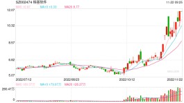 顶级游资炒股养家豪掷1.07亿主封，“新宠”榕基软件成色如何？