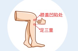 足三里的定位方法(足三里定位的简易方法)