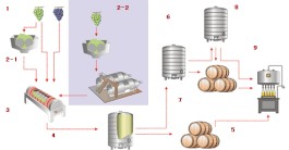 葡萄酒的酿制方法图(葡萄酒的酿制方法图解)