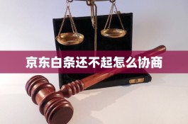 京东白条是什么安全可靠吗(京东白条是怎么回事安全吗)