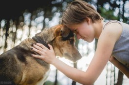 为什么好多人被猫抓不打疫苗(太多血的教训，预防狂犬病千万不要怕麻烦而不去打疫苗)