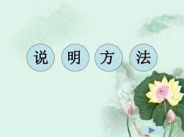 说明方法及作用(常见的说明方法及作用)
