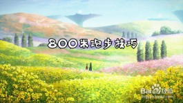 跑800米的呼吸技巧(跑800米的呼吸技巧和方法)
