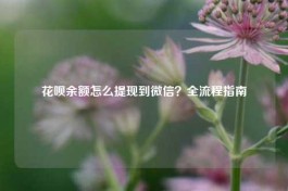 花呗余额怎么提现到微信，简单易懂的几种方法