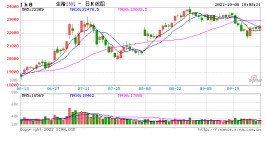 农业农村部：全国农产品批发市场猪肉均价比节前上升2.5%