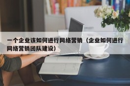 一个企业该如何进行网络营销（企业如何进行网络营销团队建设）