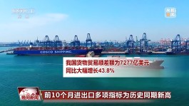 前10个月 我国进出口多项指标为历史同期新高