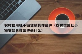 农村信用社小额贷款具体条件（农村信用社小额贷款具体条件是什么）