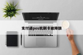 支付通pos机刷卡被降额